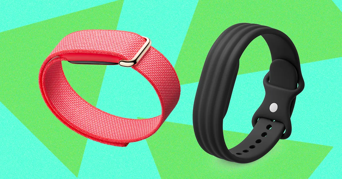 Google fitbit air alınır mı